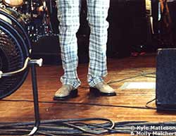 just plaid