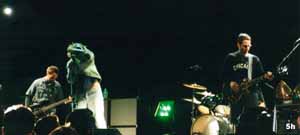 the whole band